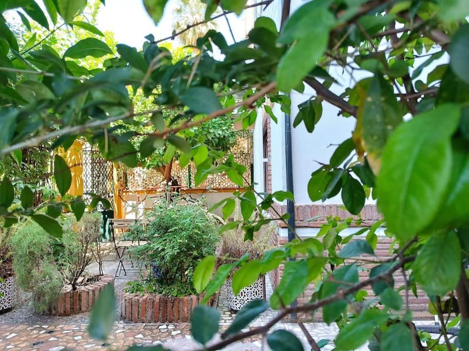 Vila Casa Limonero Con Parking Gratis Junto A Centro Historico Granada Exteriér fotografie