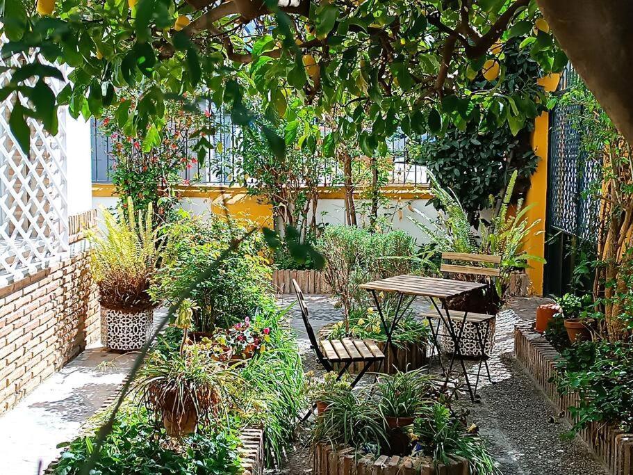 Vila Casa Limonero Con Parking Gratis Junto A Centro Historico Granada Exteriér fotografie