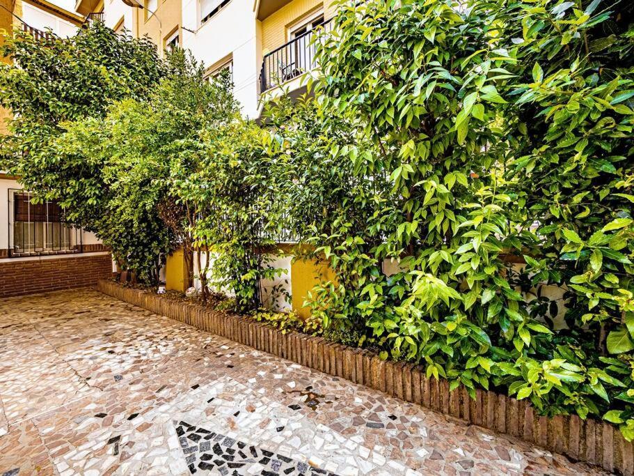 Vila Casa Limonero Con Parking Gratis Junto A Centro Historico Granada Exteriér fotografie