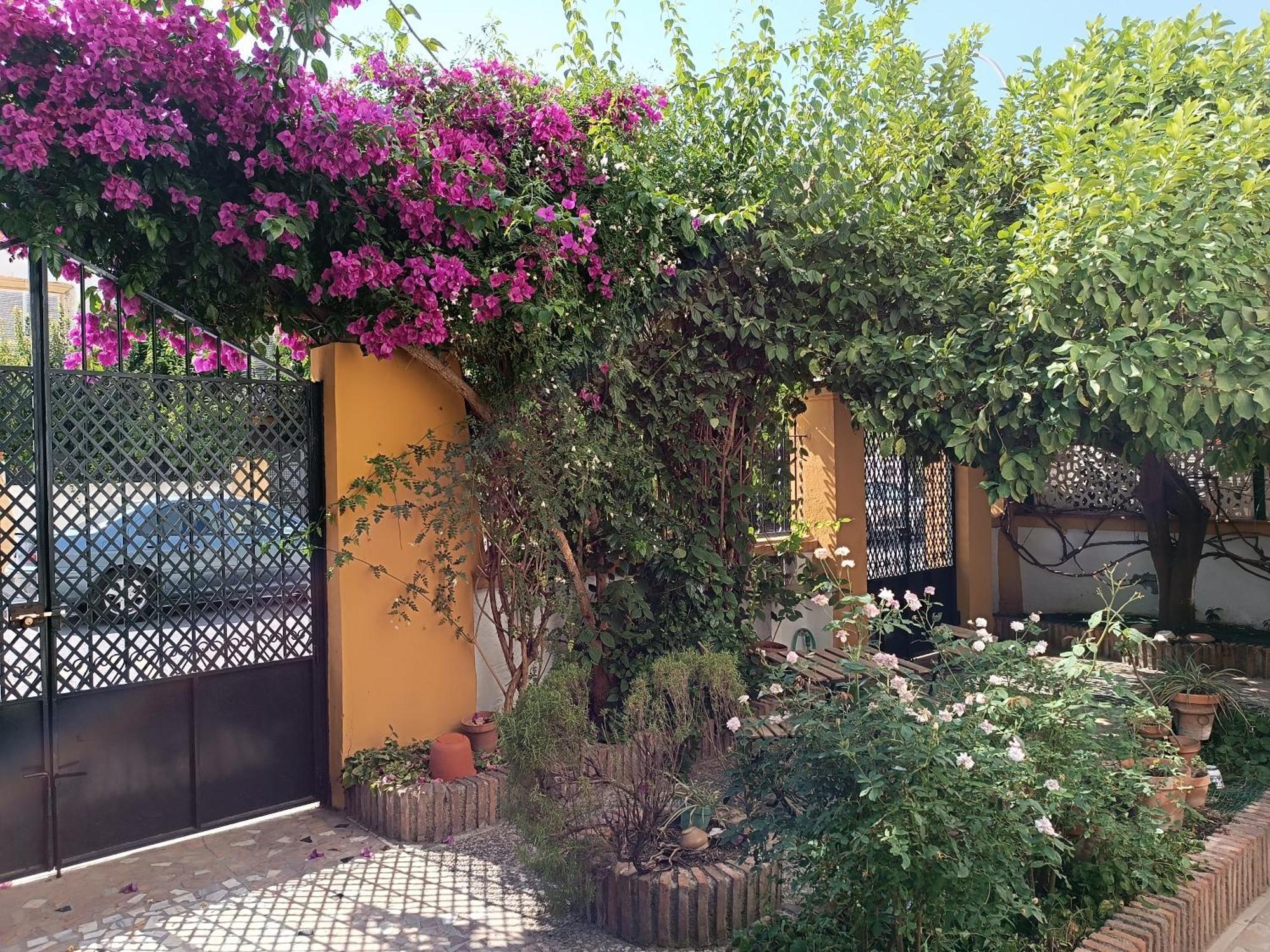 Vila Casa Limonero Con Parking Gratis Junto A Centro Historico Granada Exteriér fotografie